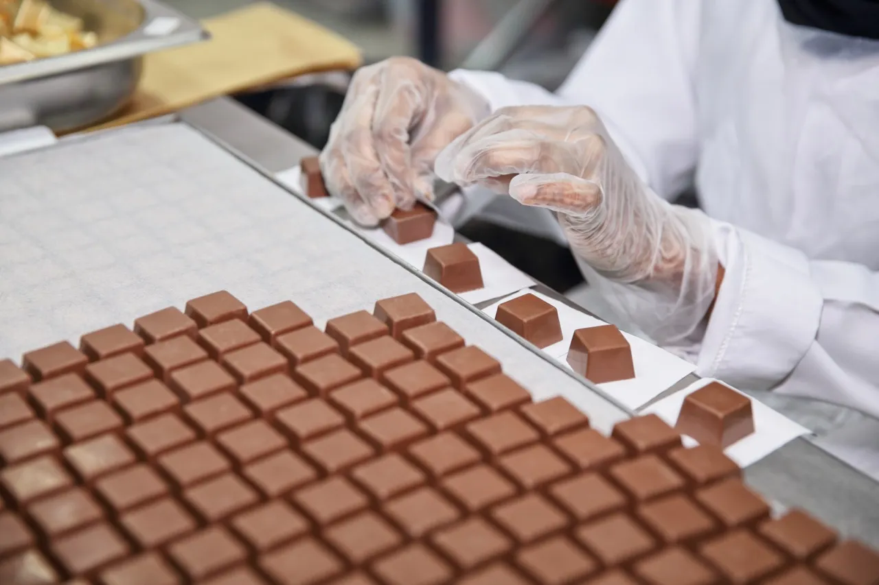 wellington chocolate factory